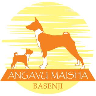 ANGAVU MAISHA