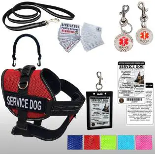 Activedogs Service Dog Kit