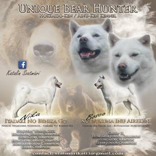 Unique Bear Hunter - B