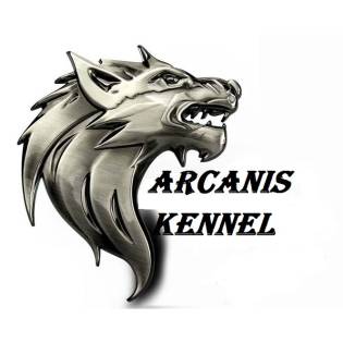 Arcanis