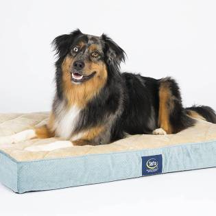 Top 3 Serta Dog Beds [2023 Review]