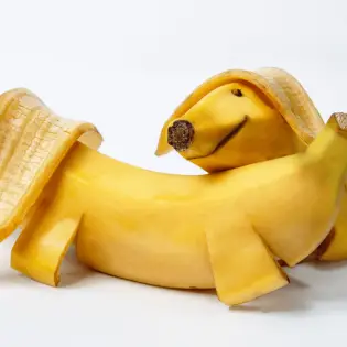 Are Bananas Good for Dogs?