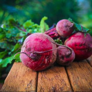 Are Beets Good For Dogs?