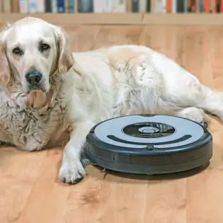 What Is The Best Vacuum For Pet Hair?