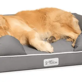 Waterproof Dog Bed - Why is it a Good Idea?