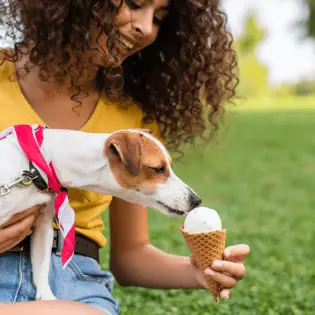 Is Ice Cream Bad for Your Dog?