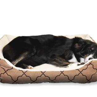 Best Heated Dog Beds in 2023