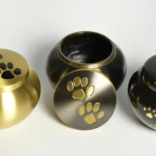 Pet Cremation - What to Do When Our Dogs Leave Us