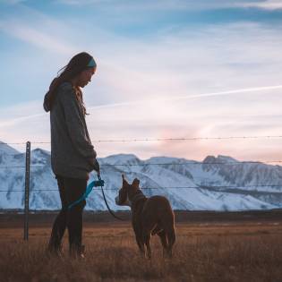 How Often Do You Walk Your Dog?