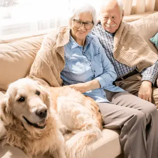 The 7 Dog Breeds Perfect for Elderly Dog Owners