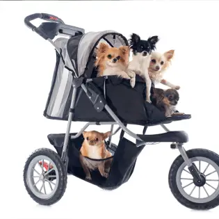 Best Dog Strollers in 2023