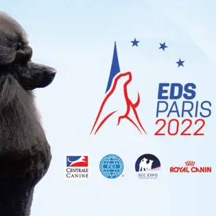 Euro Dog Show 2022 - All You Need To Know