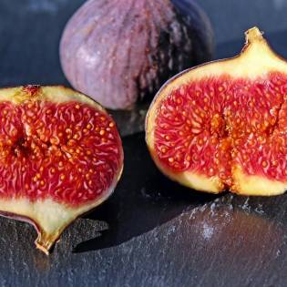 Should You Let Your Dog Eat Figs