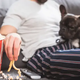 Can Dogs Eat French Fries