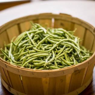 Should Your Dog Eat Green Beans?