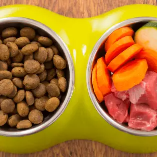 Things to Consider Before Switching to Homemade Dog Food