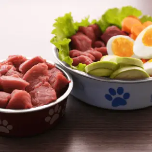 Dog Food Recipes - Vet Approved Homemade Dog Food