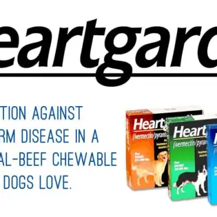 Is Heartgard for Dogs Safe