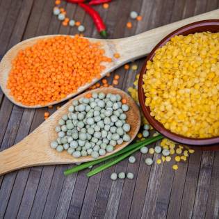 Should You Give Lentils to Your Dog