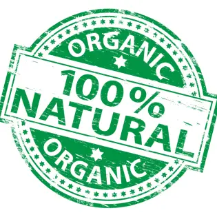 The Best Organic Dog Food in 2023