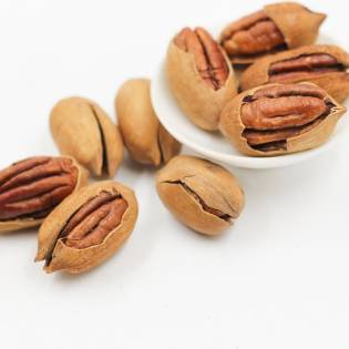 Are Pecans Safe For Dogs To Eat?