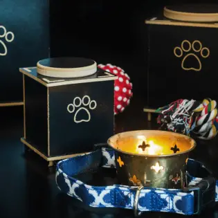 Best Pet Urns for Commemorating Your Dog