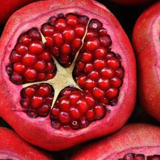 VET CORNER - Can Dogs Eat Pomegranate