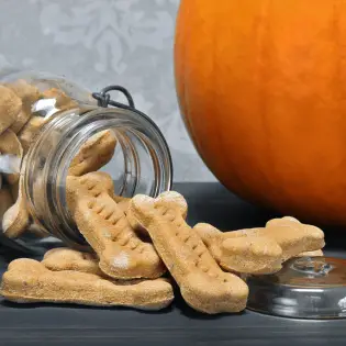 DIY Pumpkin Dog Treats to Spice-Up Your Dog's Life