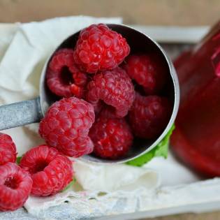 Can Dogs Eat Raspberries - Here Are Some Risks to Avoid