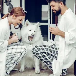 Best Matching Dog & Owner Pajamas