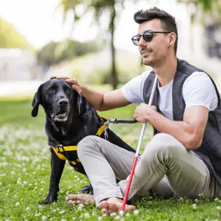 How Do I Get a Service Dog?