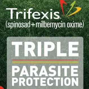 Should You Pick Trifexis Chewables