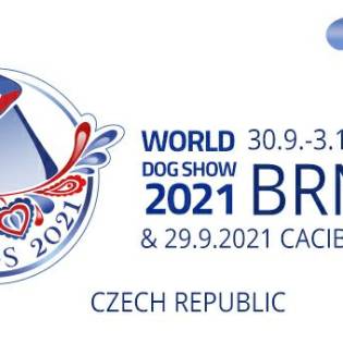 World Dog Show 2021 - Brno