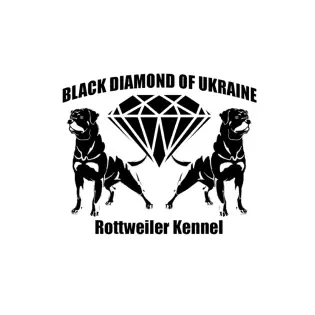 Black Diamond of Ukraine