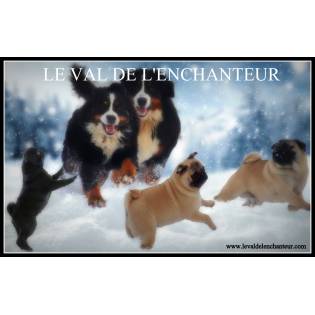 Le Val de l'enchanteur
