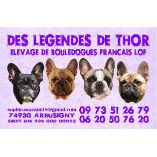 Des Légendes de Thor