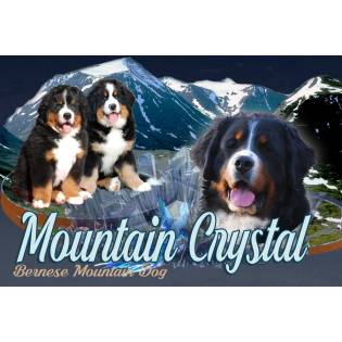 MOUNTAIN CRYSTAL