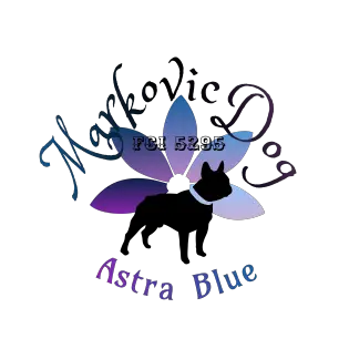 Markovicdog Astra Blue