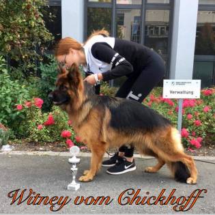 Witney vom Chickhoff