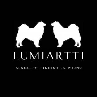 LUMIARTTI