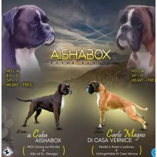 Aishabox