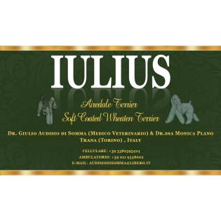 IULIUS