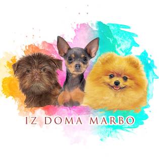 IZ_DOMA_MARBO