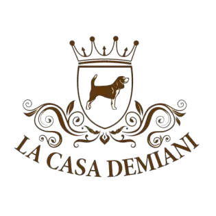 La Casa Demiani