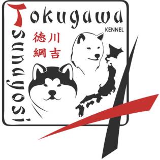 Tokugawa Tsunayoshi 徳川 綱吉 FCI