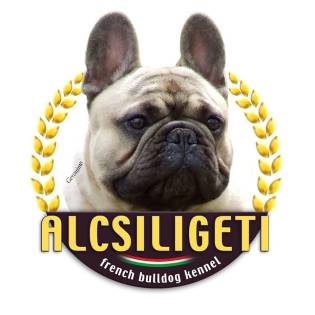 Alcsiligeti