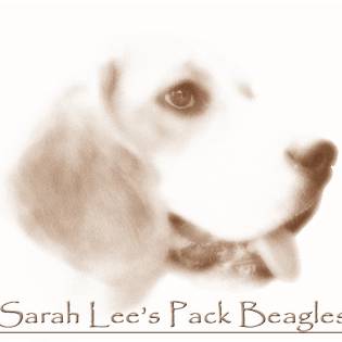 Sarah Lee's Pack