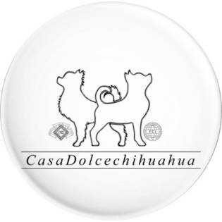 Allevamento Casa Dolcechihuahua