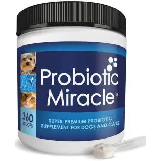 NUSENTIA Probiotic Miracle