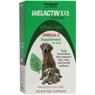 Nutramax Welactin Omega-3 Fish Oil Skin and Coat Health Supplement Liquid for Dogs